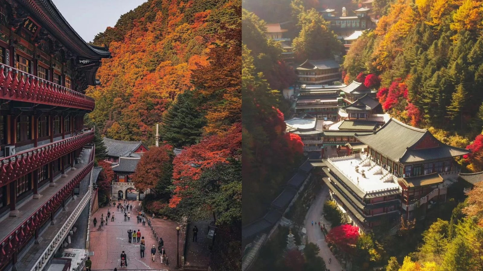 丹陽救仁寺