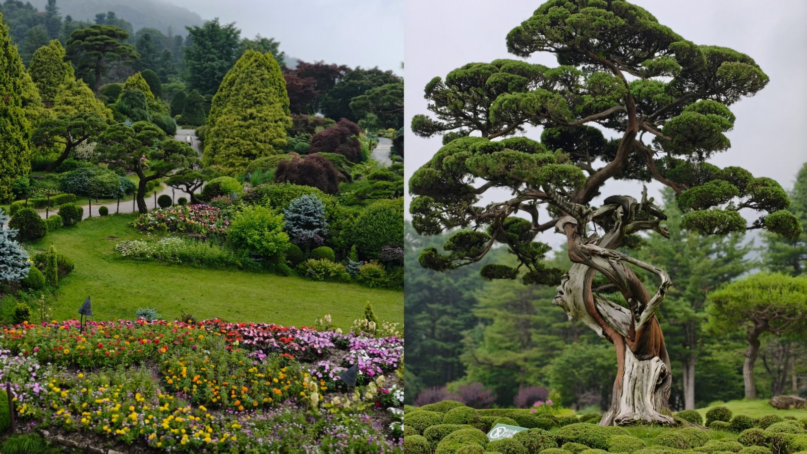 晨靜樹木園