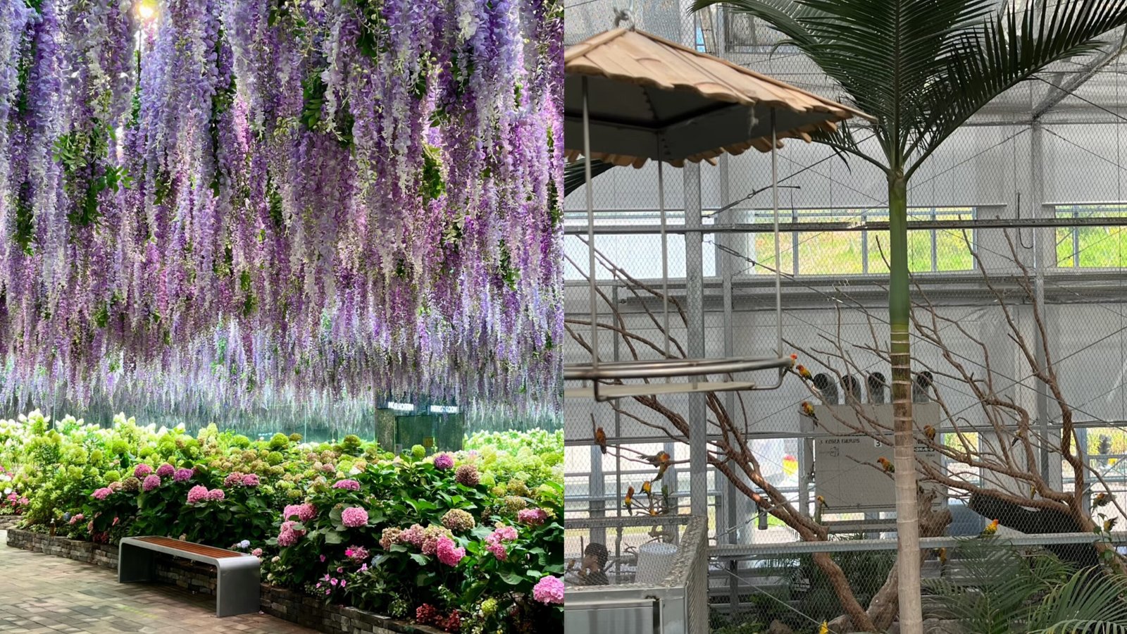 秋海棠動植物園