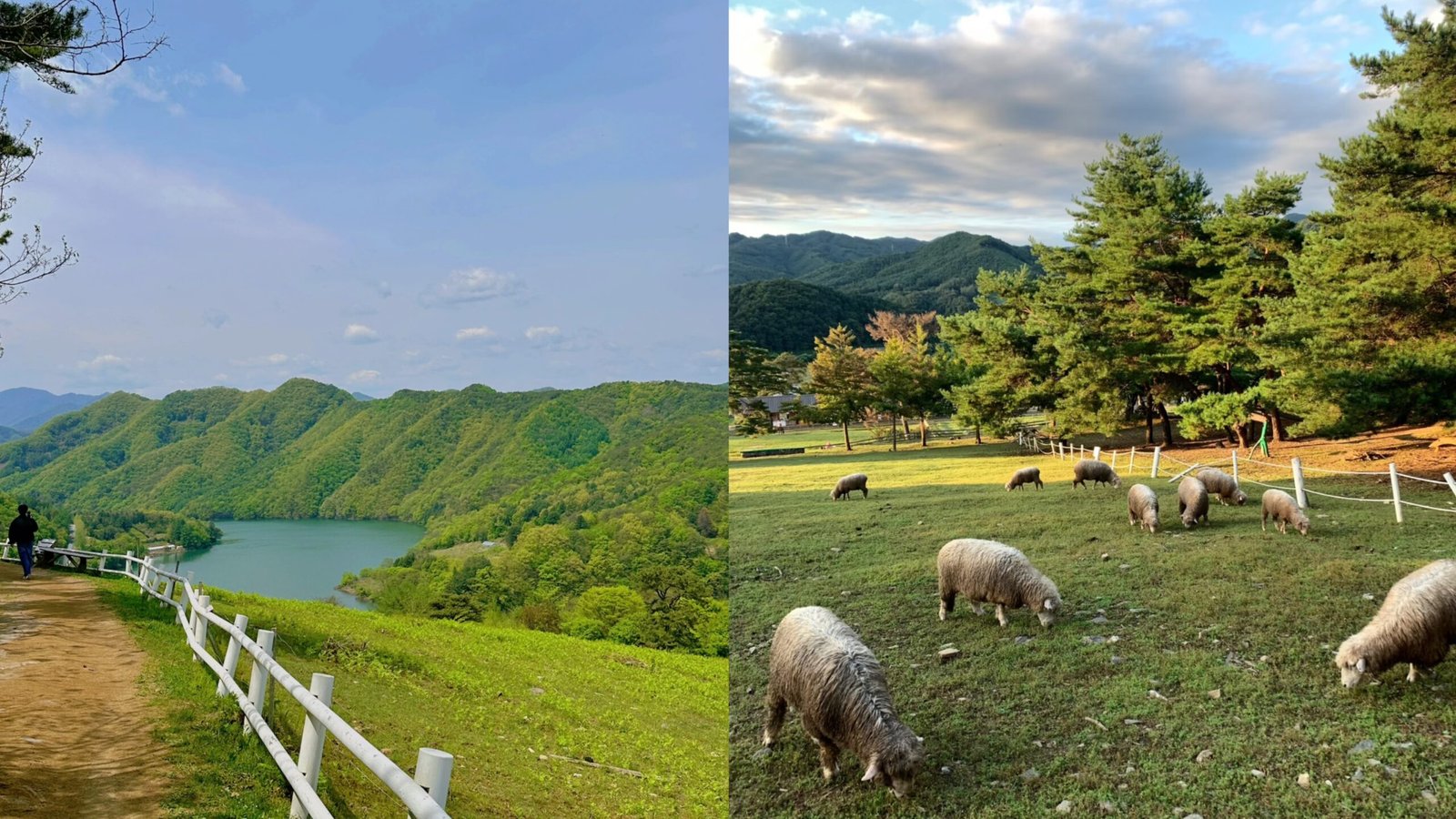 春川快樂農場