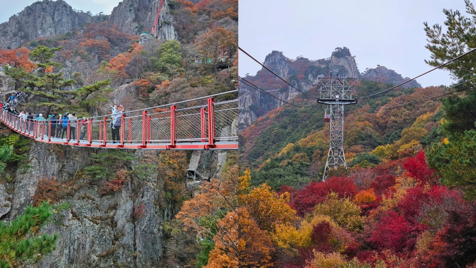大芚山道立公園