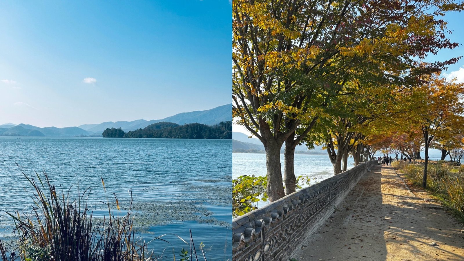楊平兩水里