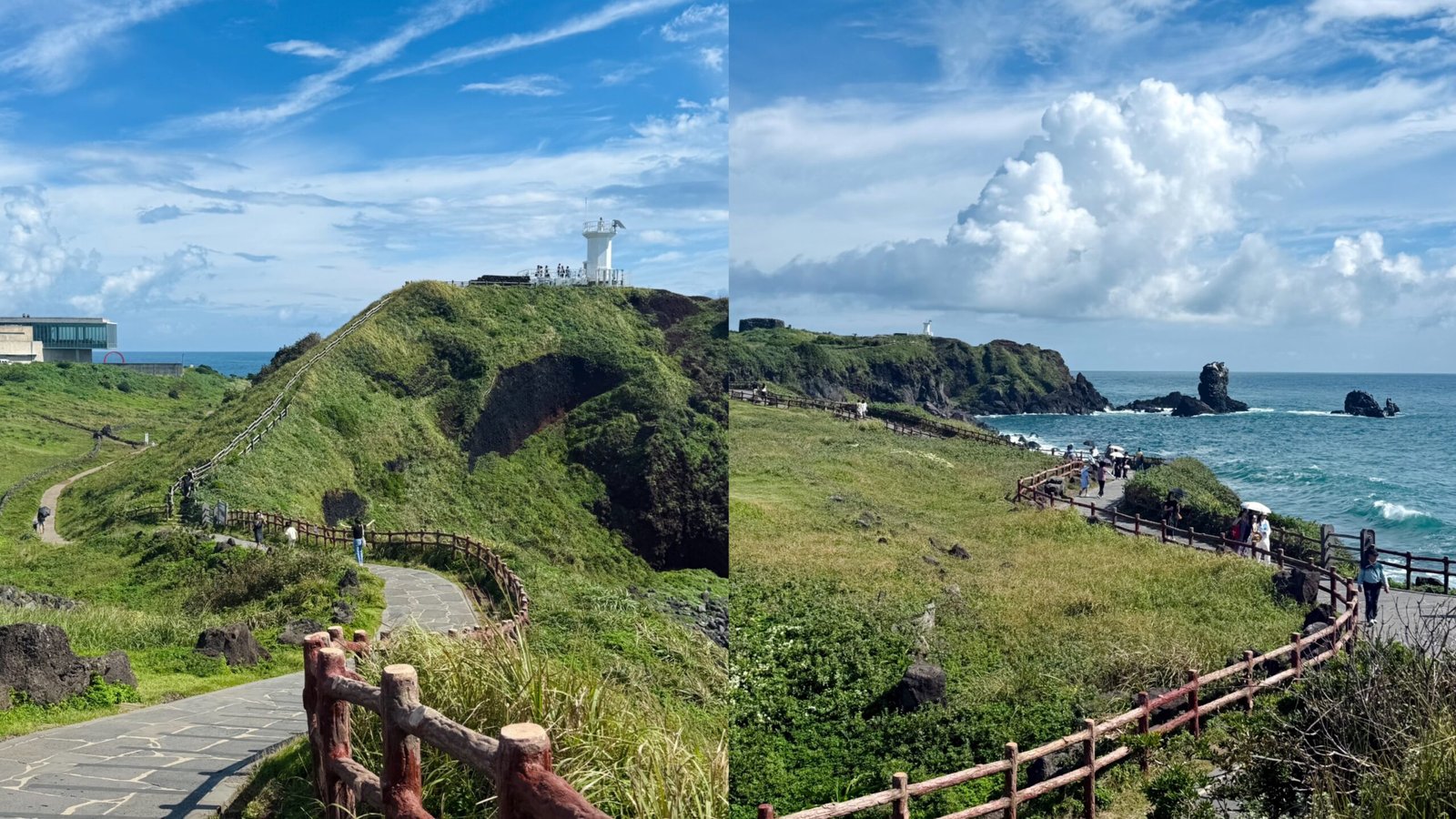 涉地可支