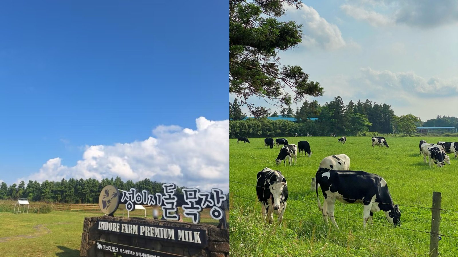 聖伊西多牧場
